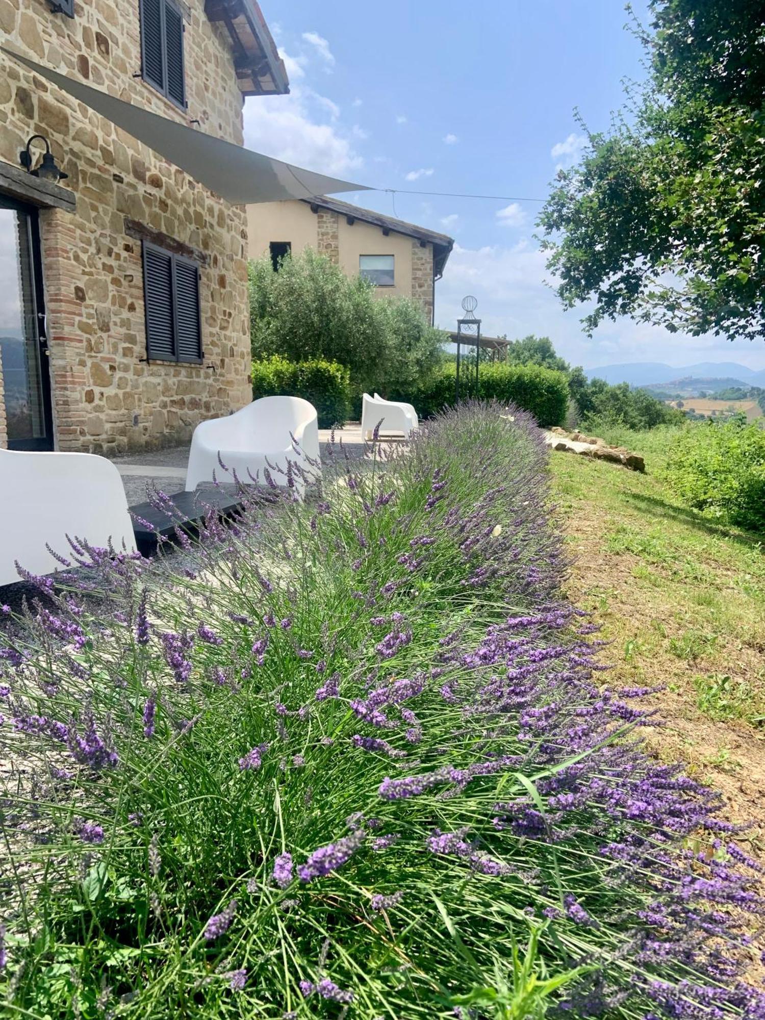 Bed and Breakfast Borgo Crispiero Exterior foto